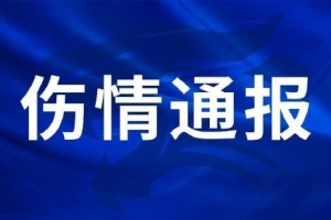 火爆U17女世界杯德國(guó)女籃U17vs西班牙U17女籃在線觀看_火爆U17女世界杯德國(guó)女籃U17vs西班牙U17女籃在線觀看在線觀看_免費(fèi)看直播