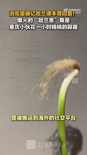 極速世界杯塞內(nèi)加爾vs伊拉克直播在線觀看_極速世界杯塞內(nèi)加爾vs伊拉克直播在線觀看在線觀看_免費看直播