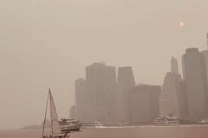 葡萄牙vs烏茲別克斯坦比賽回放_葡萄牙vs烏茲別克斯坦比賽回放在線觀看_免費(fèi)看直播