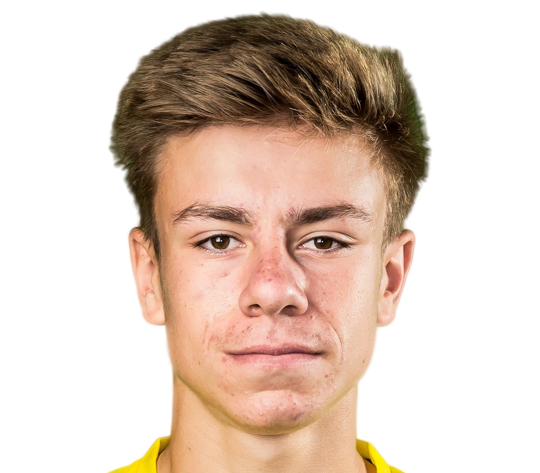 斯坦范德塞爾
