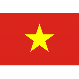 越南隊徽